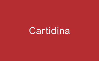 Información sobre Cartidina en los medios digitales.