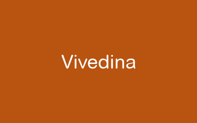 Información sobre Vivedina en los medios digitales.