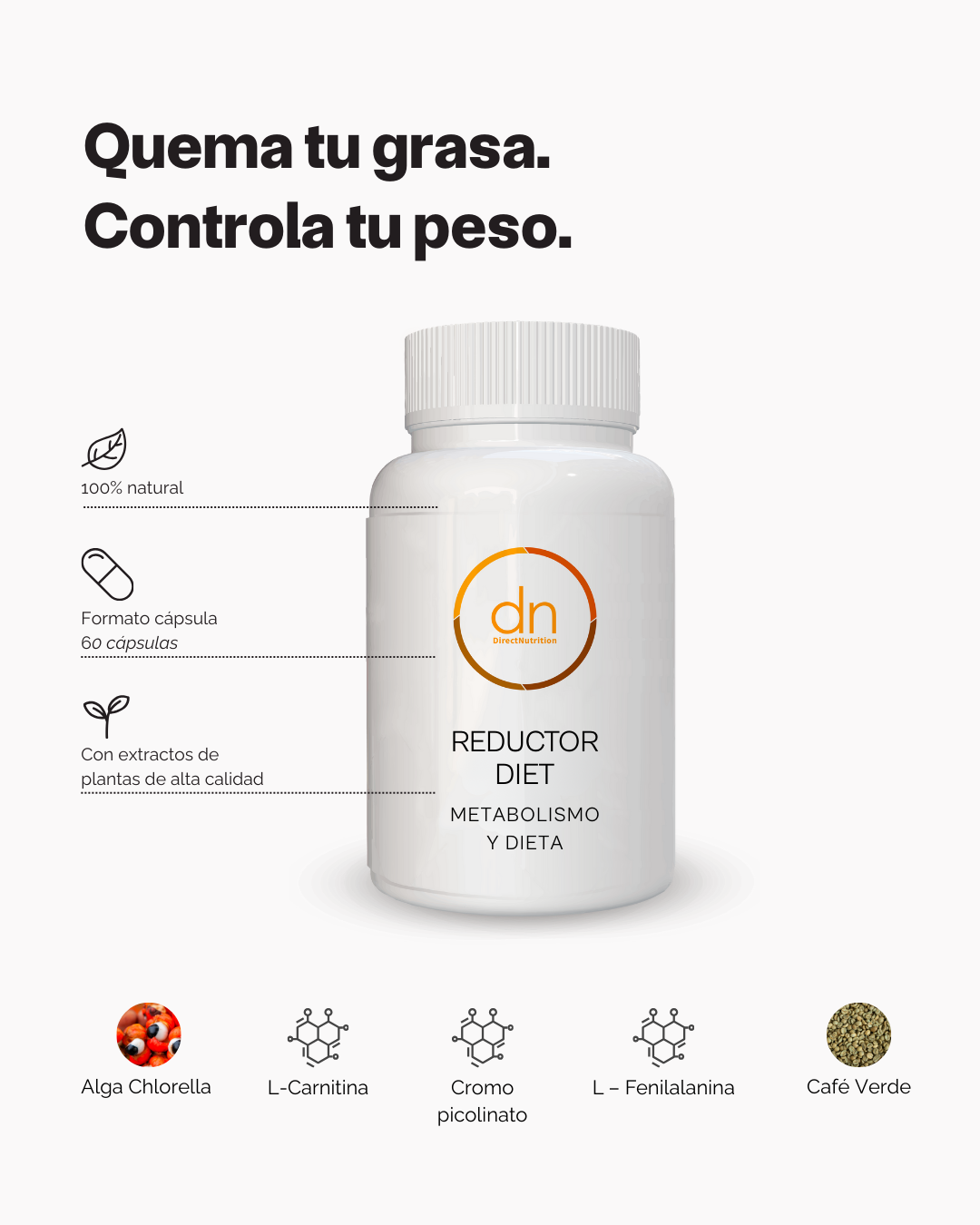 REDUCTOR DIET - Imagen 2